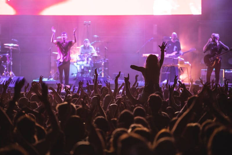 Concert Crowd