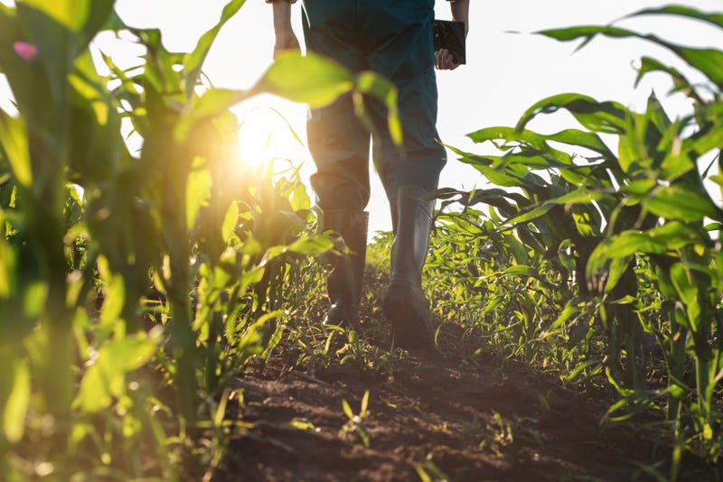 Farmer