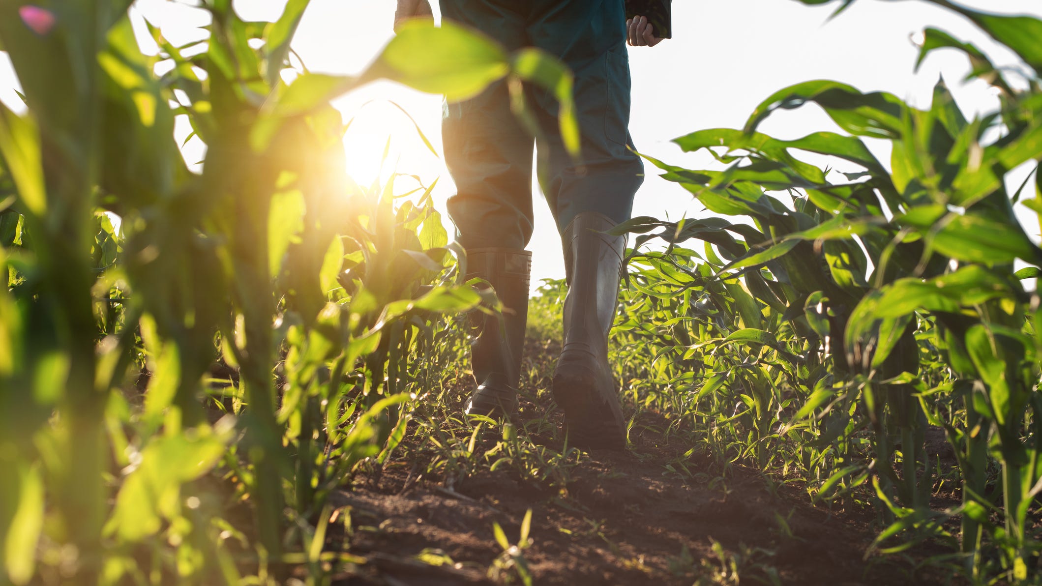 $20 billion made available to farmers fighting climate change