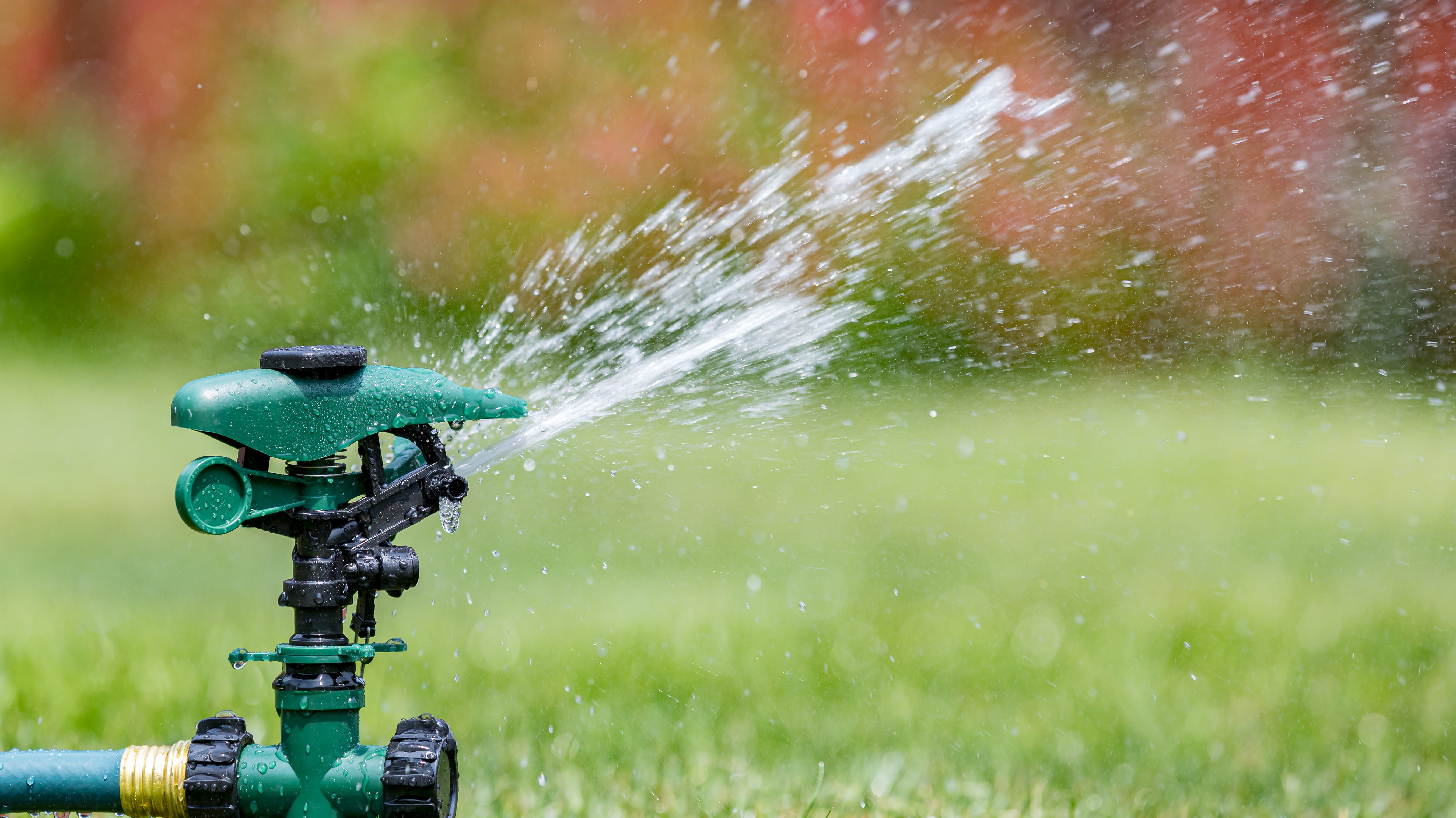 Celebrities among those warned of water waste during drought