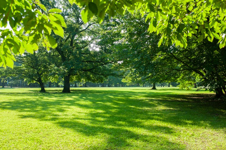 Park