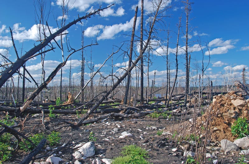 Our summer-like temps and low humidity are prompting the Department of Natural Resources to issue a critical fire danger warning for a large part of Minnesota.