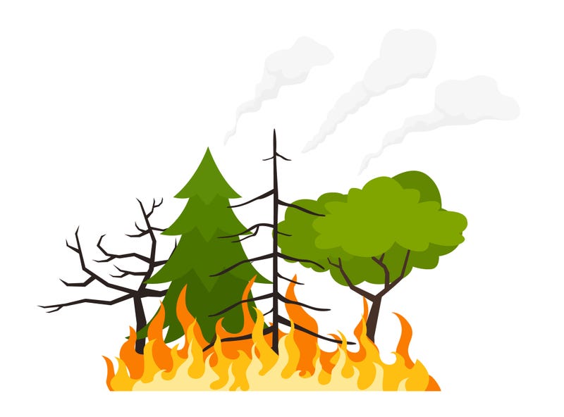 Wildfire, Minnesota, Barnum