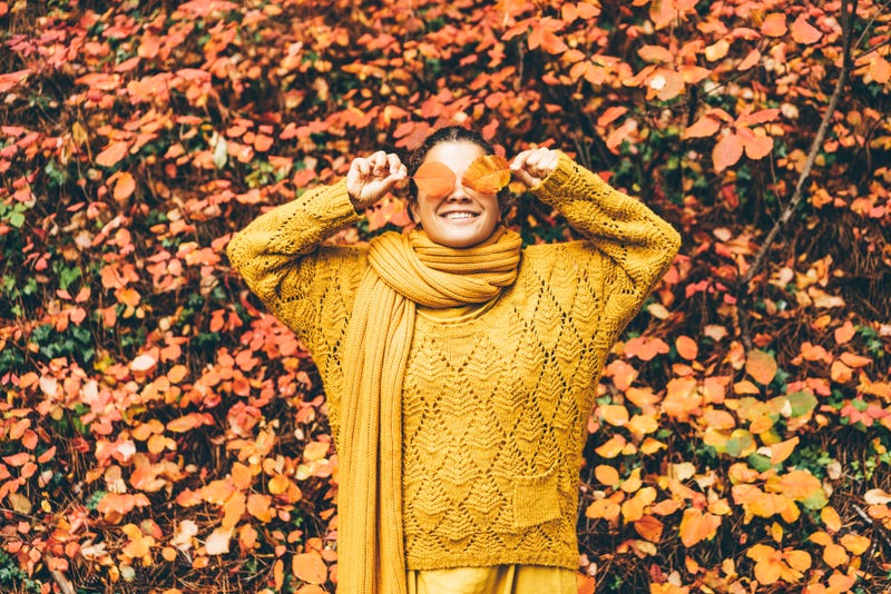 Fall sweater fashion