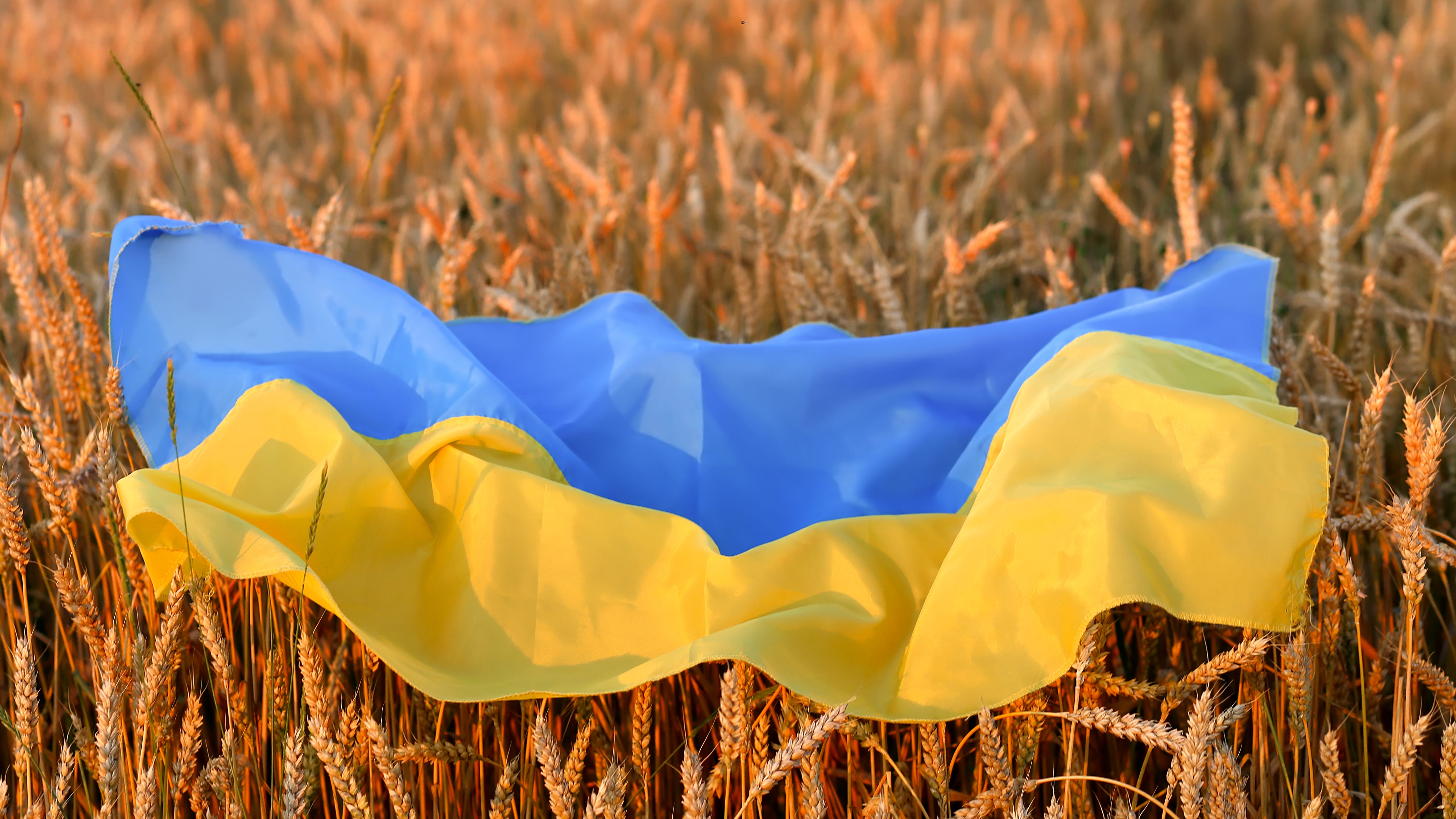 Ask The Expert: How will invasion of Ukraine impact our wallets?