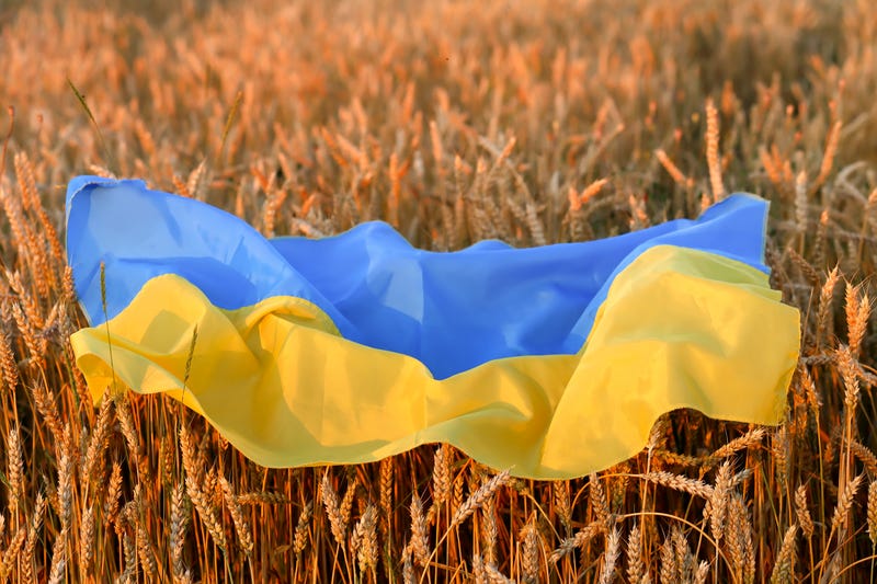 Ask The Expert: How will invasion of Ukraine impact our wallets?