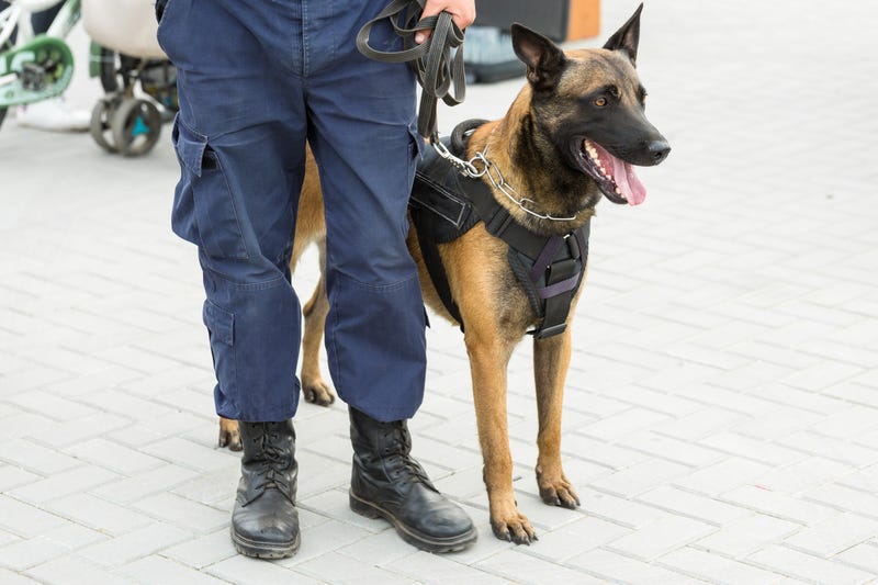CTA K-9