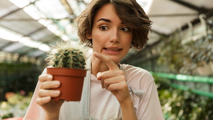 Send your ex a cactus from Topo Chico on Valentine's Day