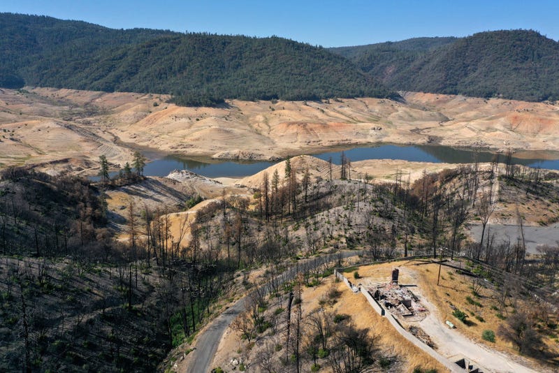 In an aerial view, trees burned by a recent wildfire line the steep banks of Lake Oroville on July 22, 2021 in Oroville, California. As the extreme drought emergency continues in California, Lake Oroville's water levels are continuing to drop to 28 percent of capacity.