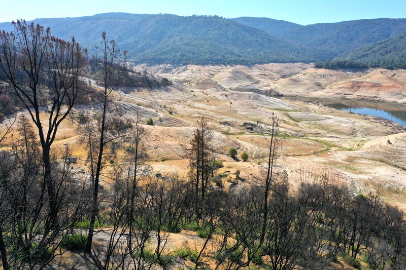 n an aerial view, trees burned by a recent wildfire line the steep banks of Lake Oroville.