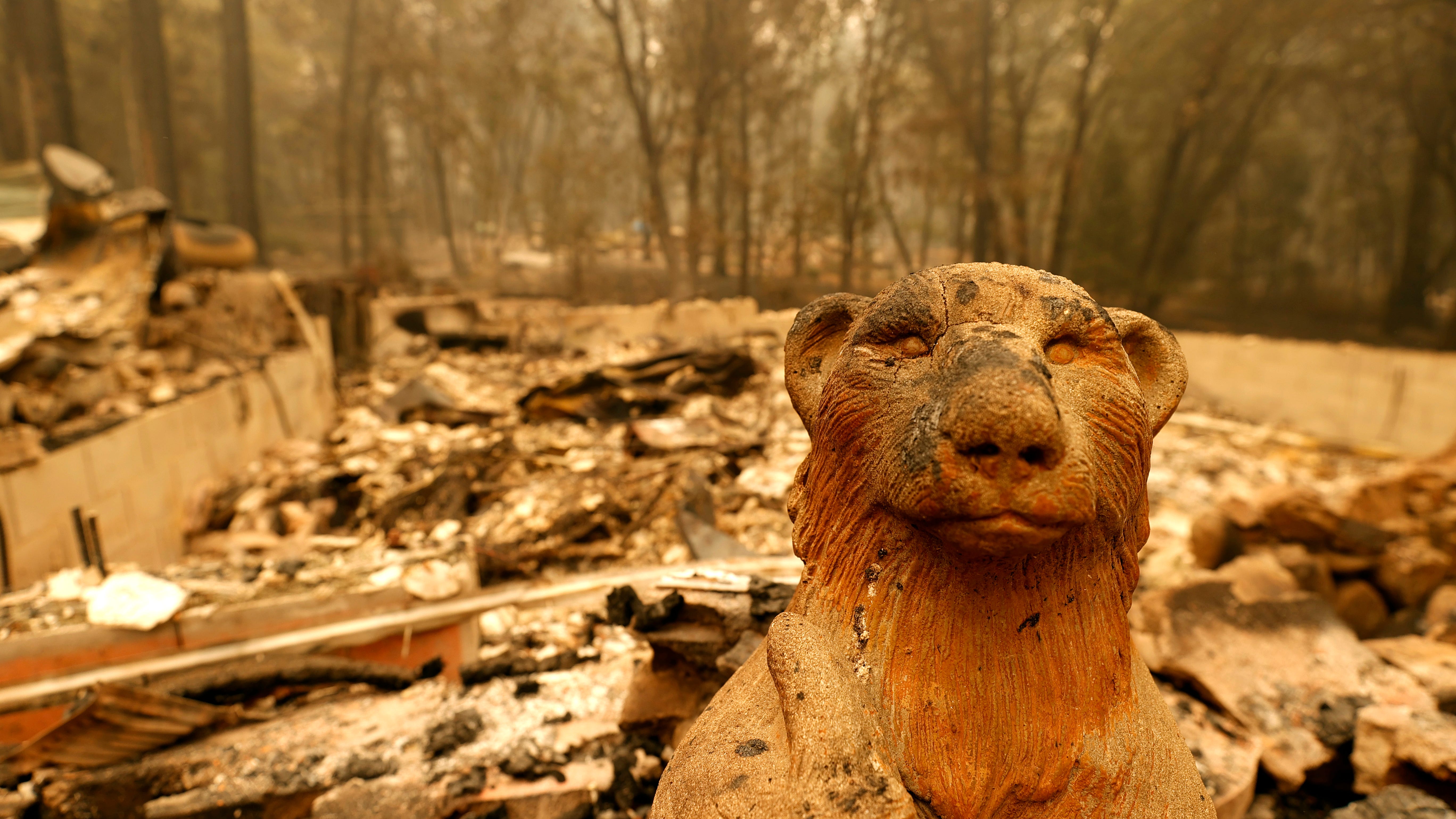 Dixie Fire, California's 14th biggest ever, has now burned 217K acres