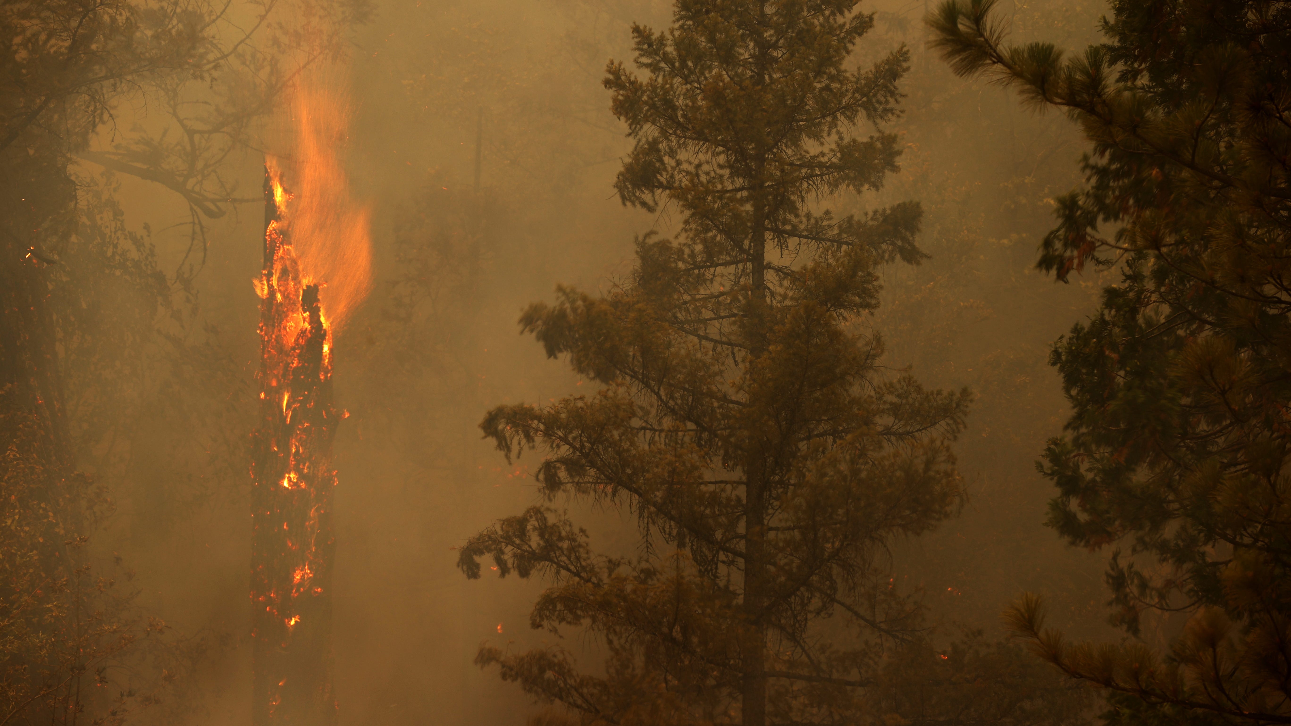 Hot, gusty weather could mean explosive growth for Dixie Fire, rest of Western blazes