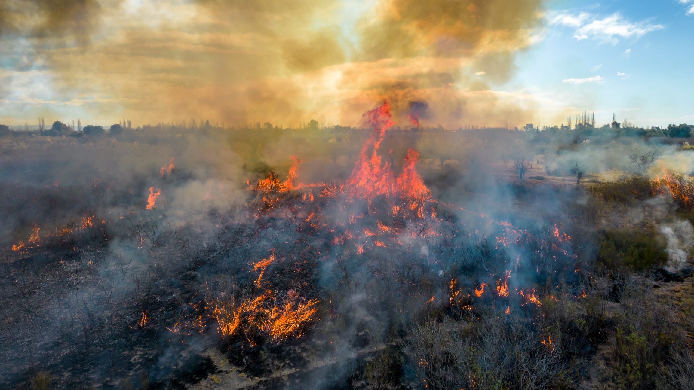 Fire Chief: Palo Pinto '1148 Fire' caused by open trash container