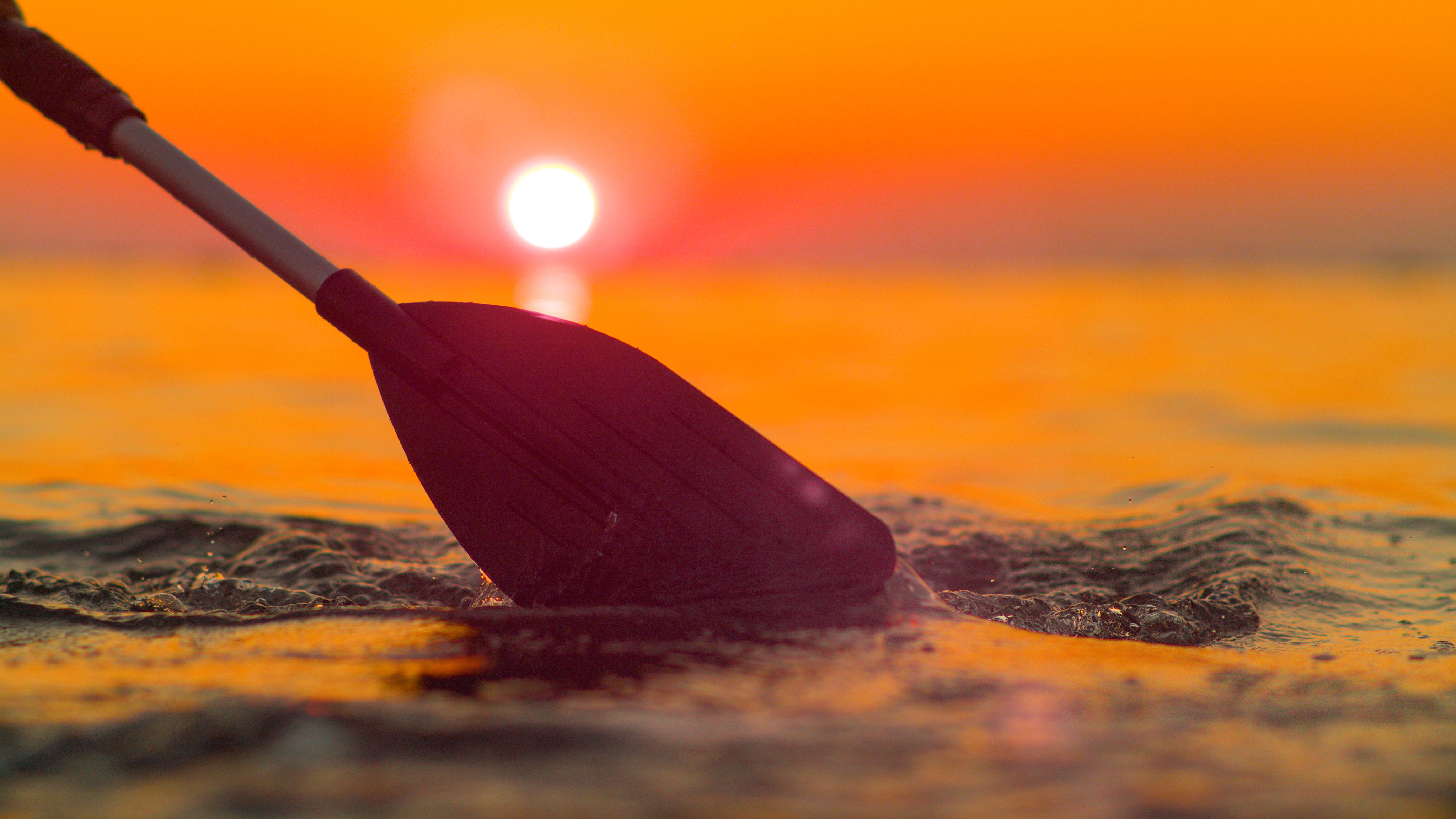 California paddleboarder uninjured in shark encounter