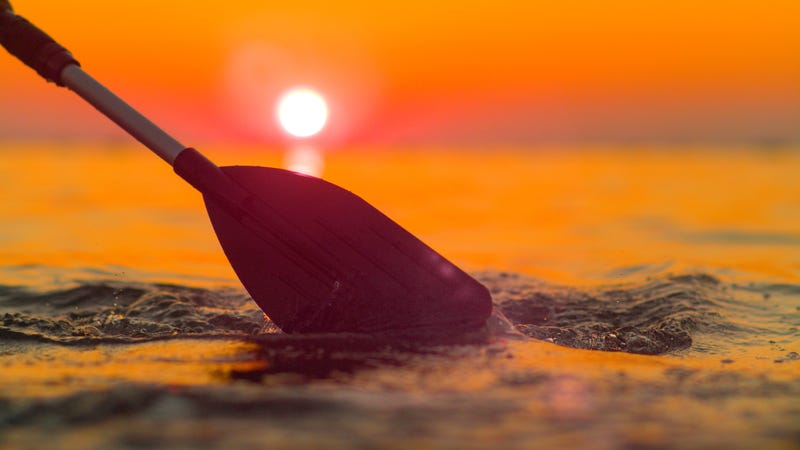 paddleboard