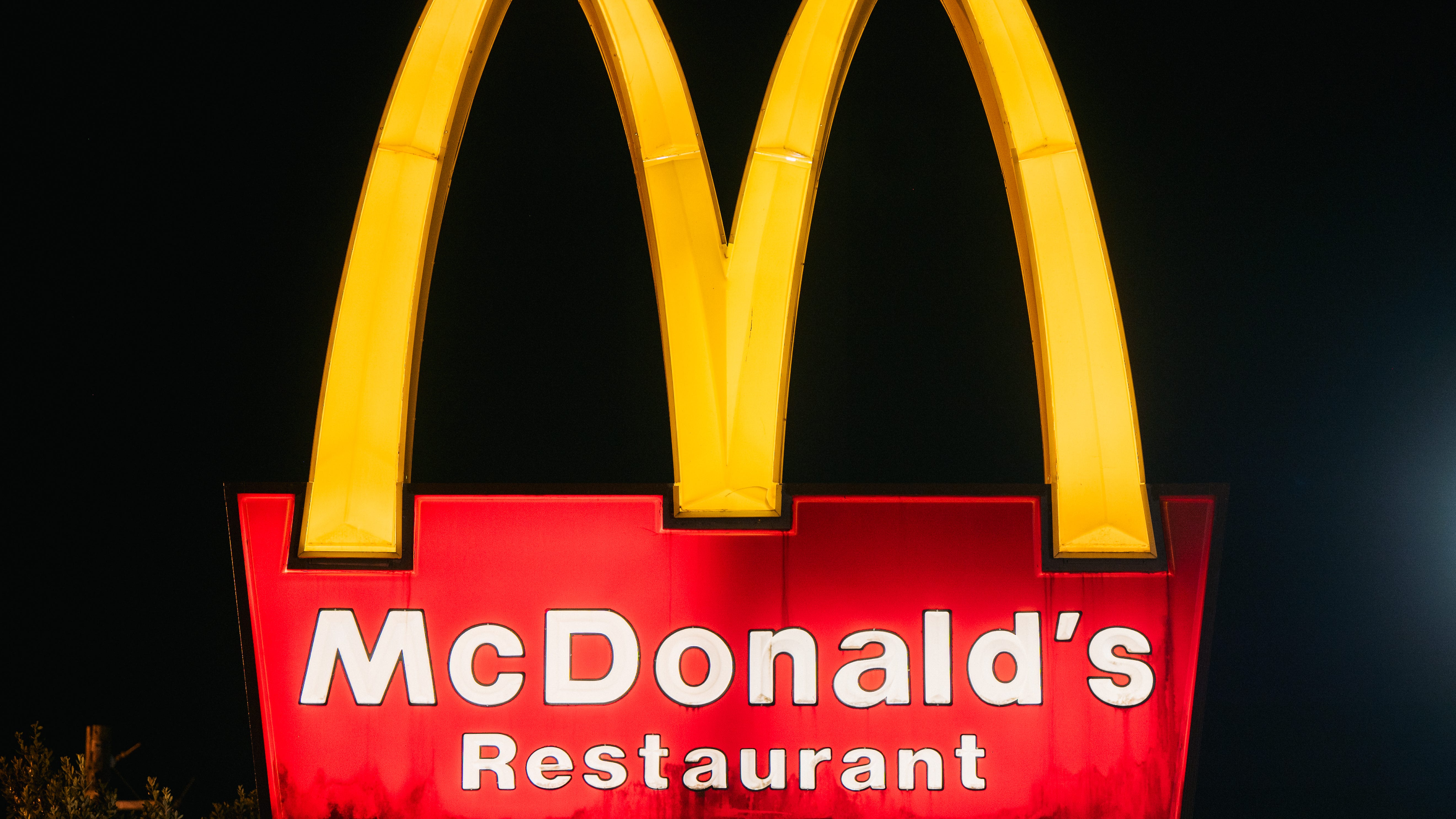 Toddler orders 31 McDonald's cheeseburgers on mom's phone