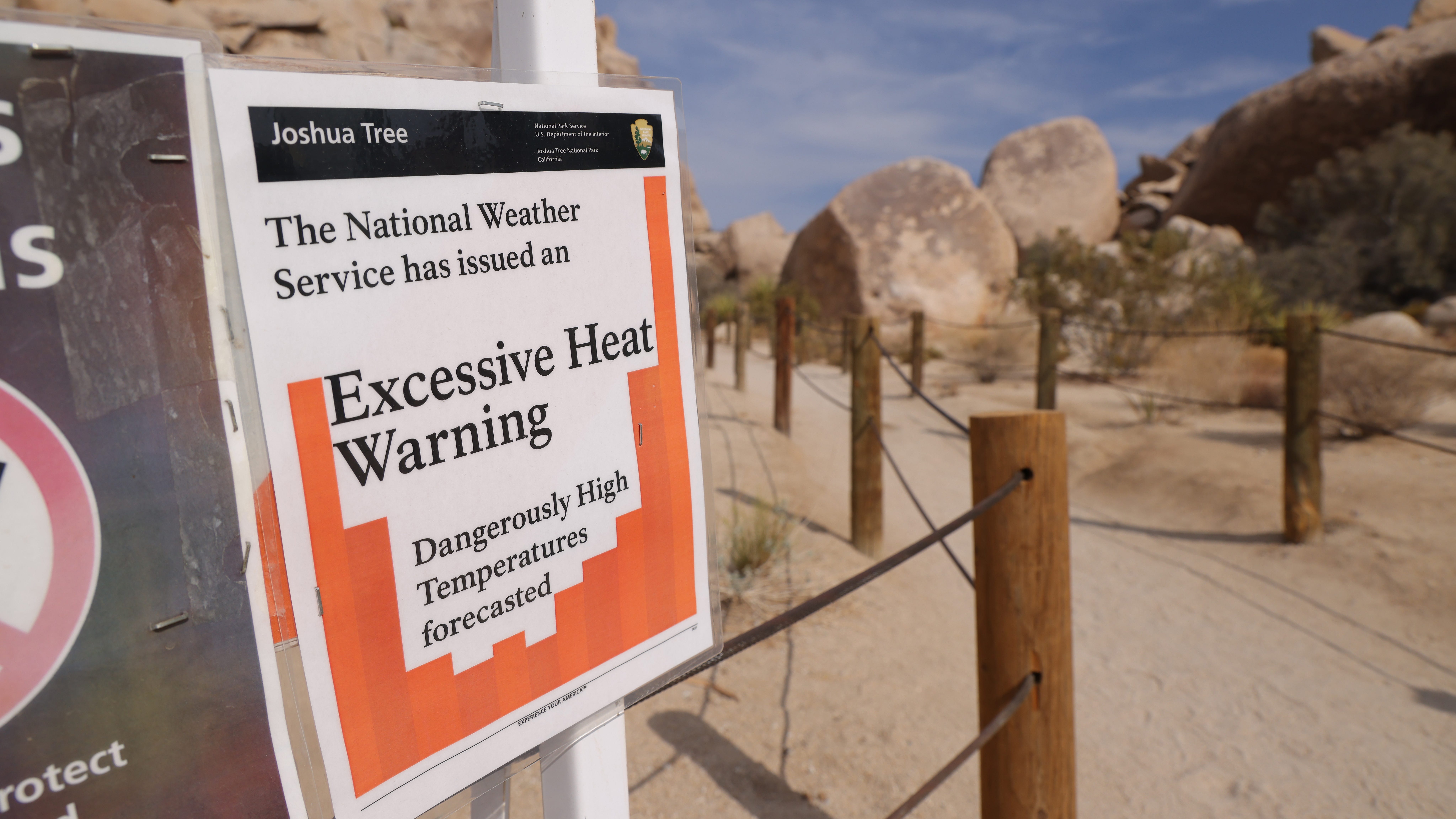 Scientist involved in UN Report on Climate Change says we have to act quickly