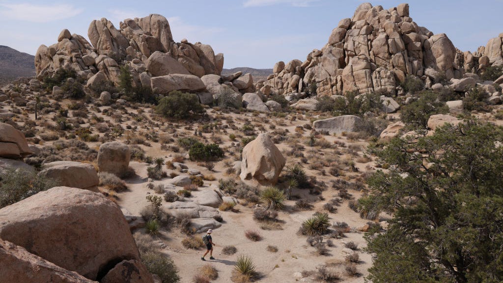 California teacher found dead in Joshua Tree National Park