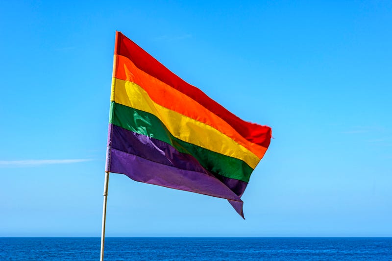 LGBTQ flag
