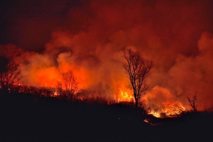 Wildfire. 