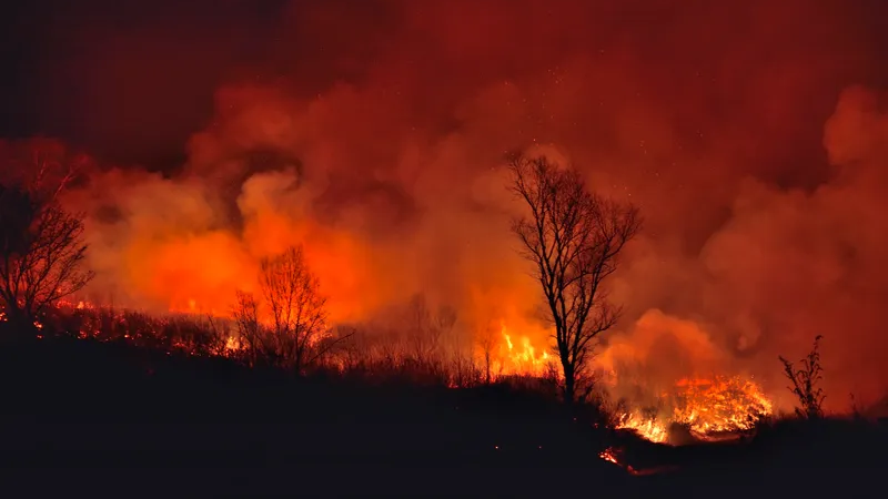 EPA concerned about health impacts of wildfire smoke as fire season increases