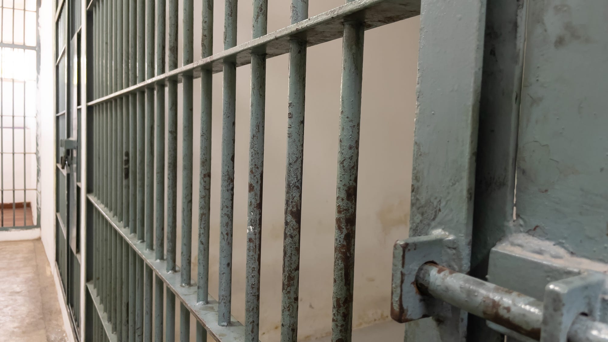 NJ man who spent 19 years in prison for child murder pleads guilty in cat abuse case