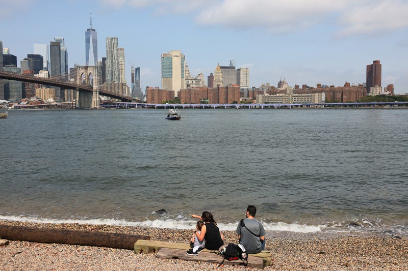 Brooklyn Bridge Park