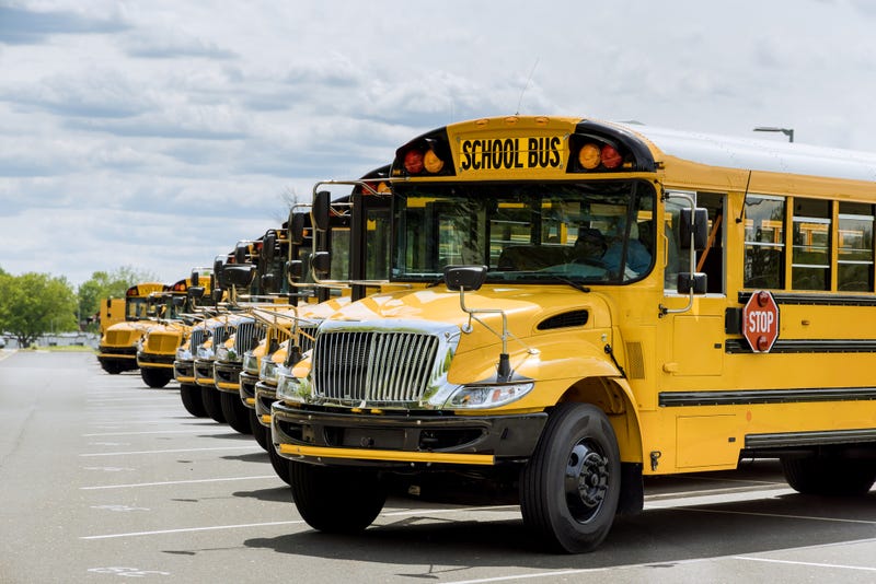 Row of school busses parked. 