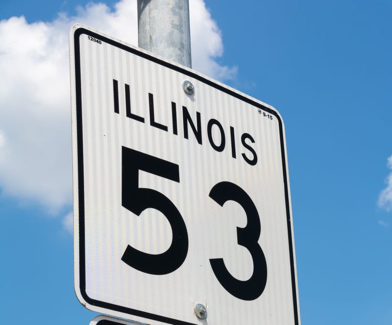 IL-53