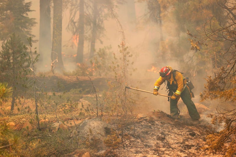 San Jose fire captain Brett Blean uses a hand tool to extinguish hot spots while battling the Dixie Fire on August 12, 2021 near Westwood, California. 