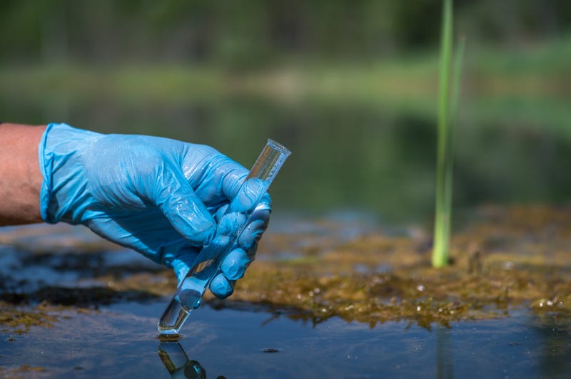Water Pollution