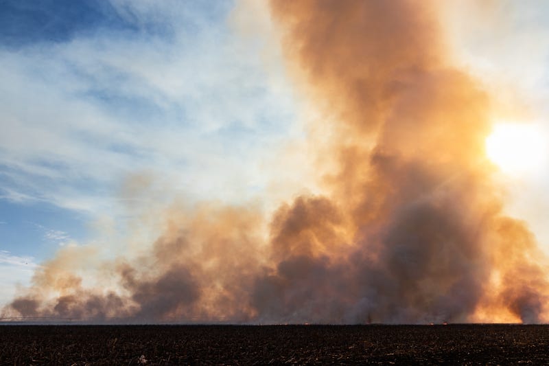 Wildfires