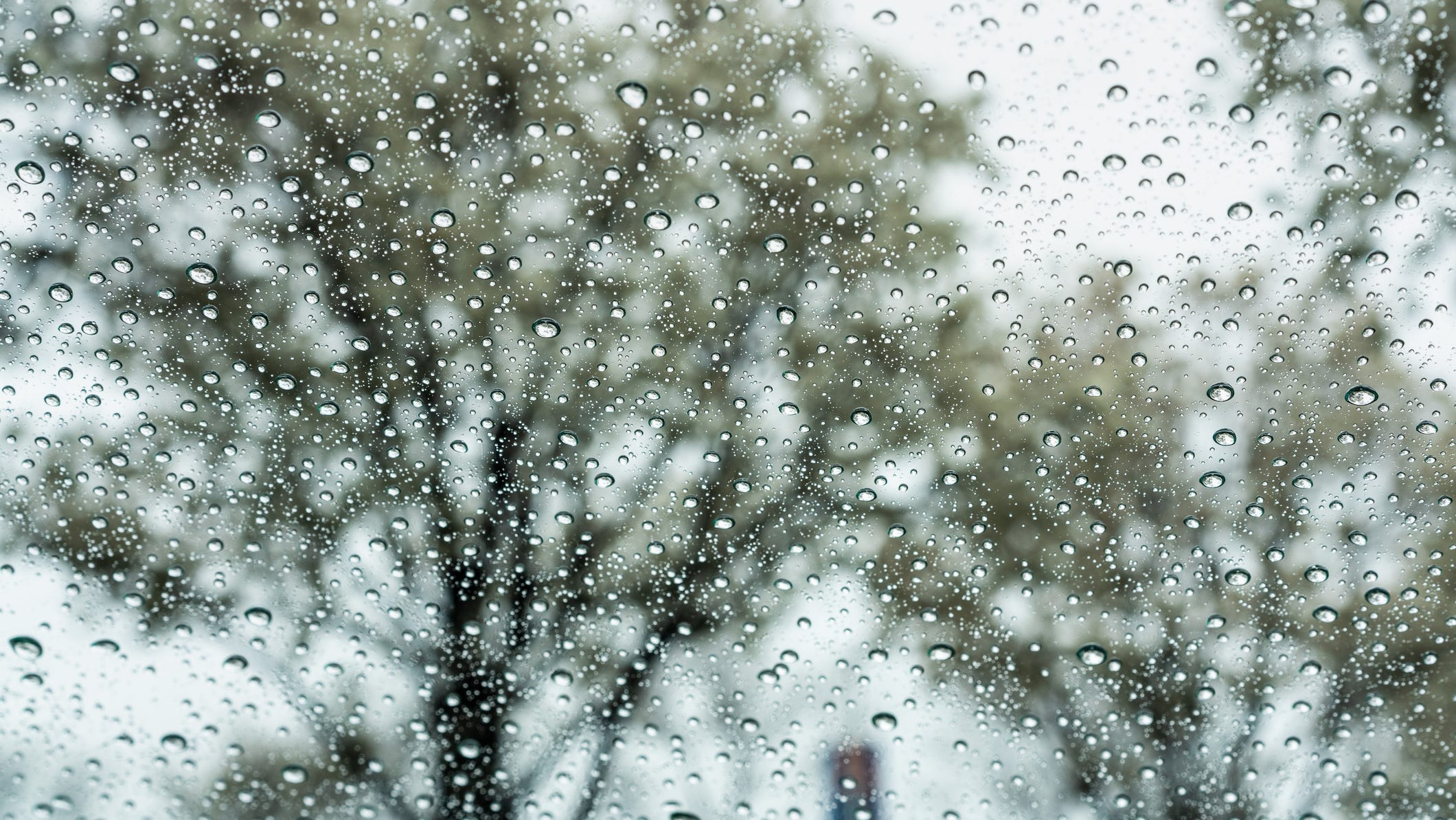 Bay Area welcomes light rain, sees more on forecast