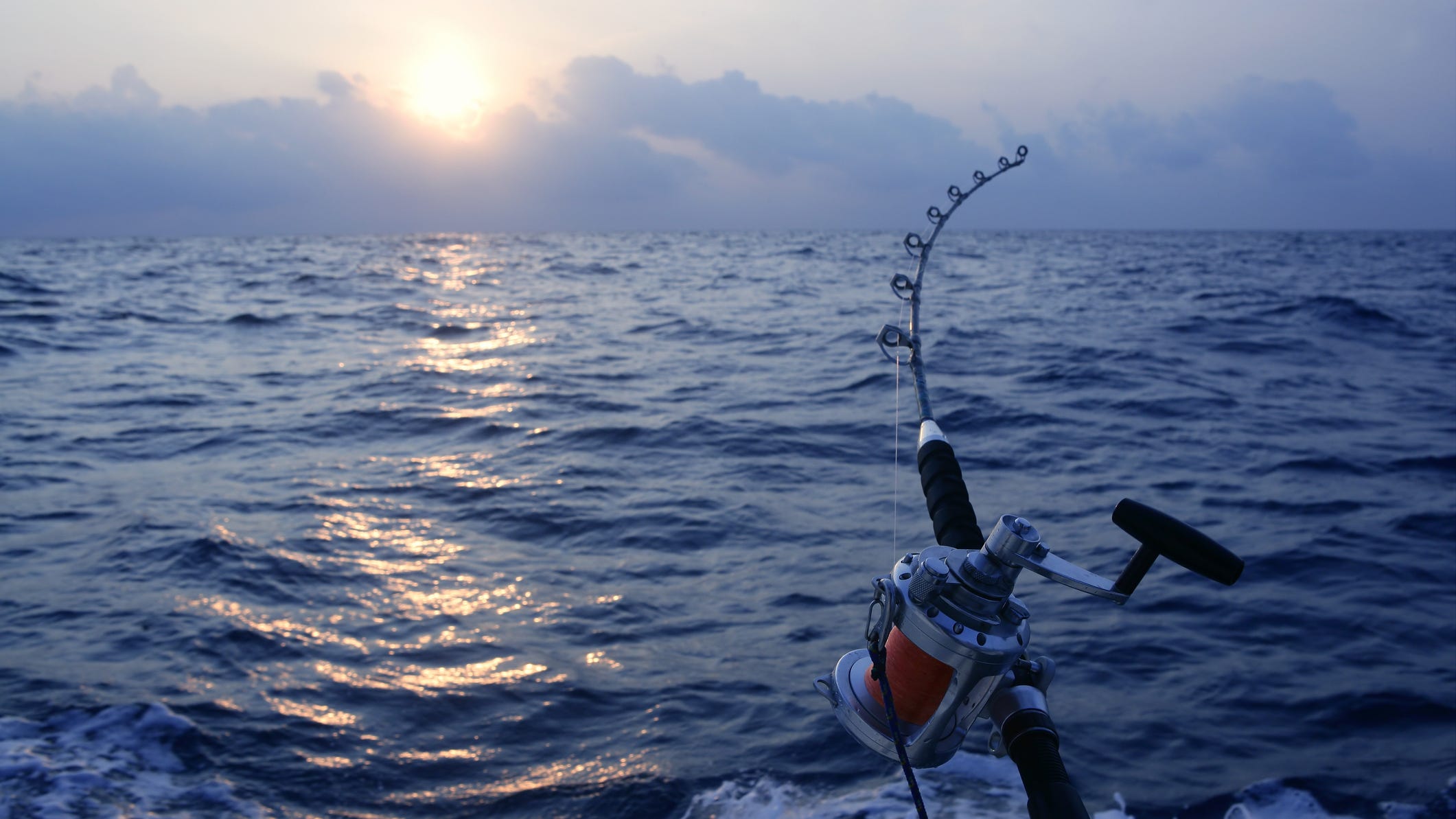 Man is missing after a massive tuna pulls him overboard