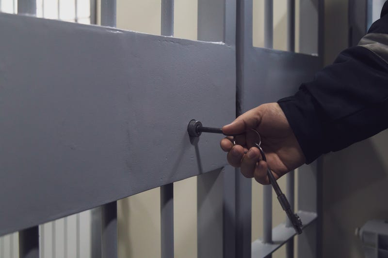 Felon Who Tried to Kill Roommate Sentenced to Life in Prison