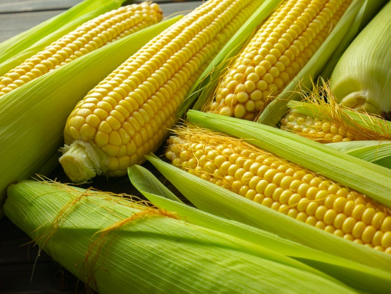 Corn on the cob