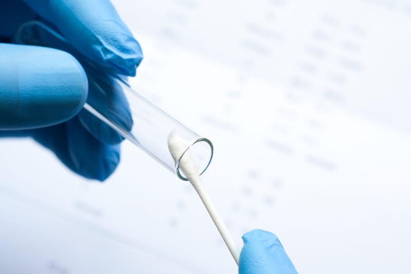 Cotton swab used for DNA testing. 