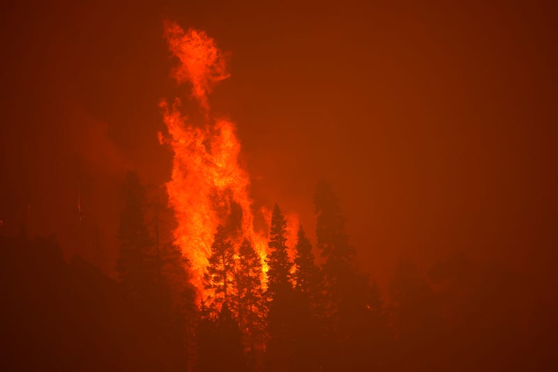 The Caldor Fire burns through trees on August 30, 2021 near South Lake Tahoe, California.