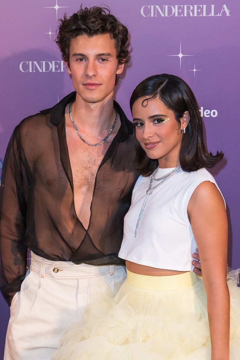 Shawn Mendes and Camila Cabello