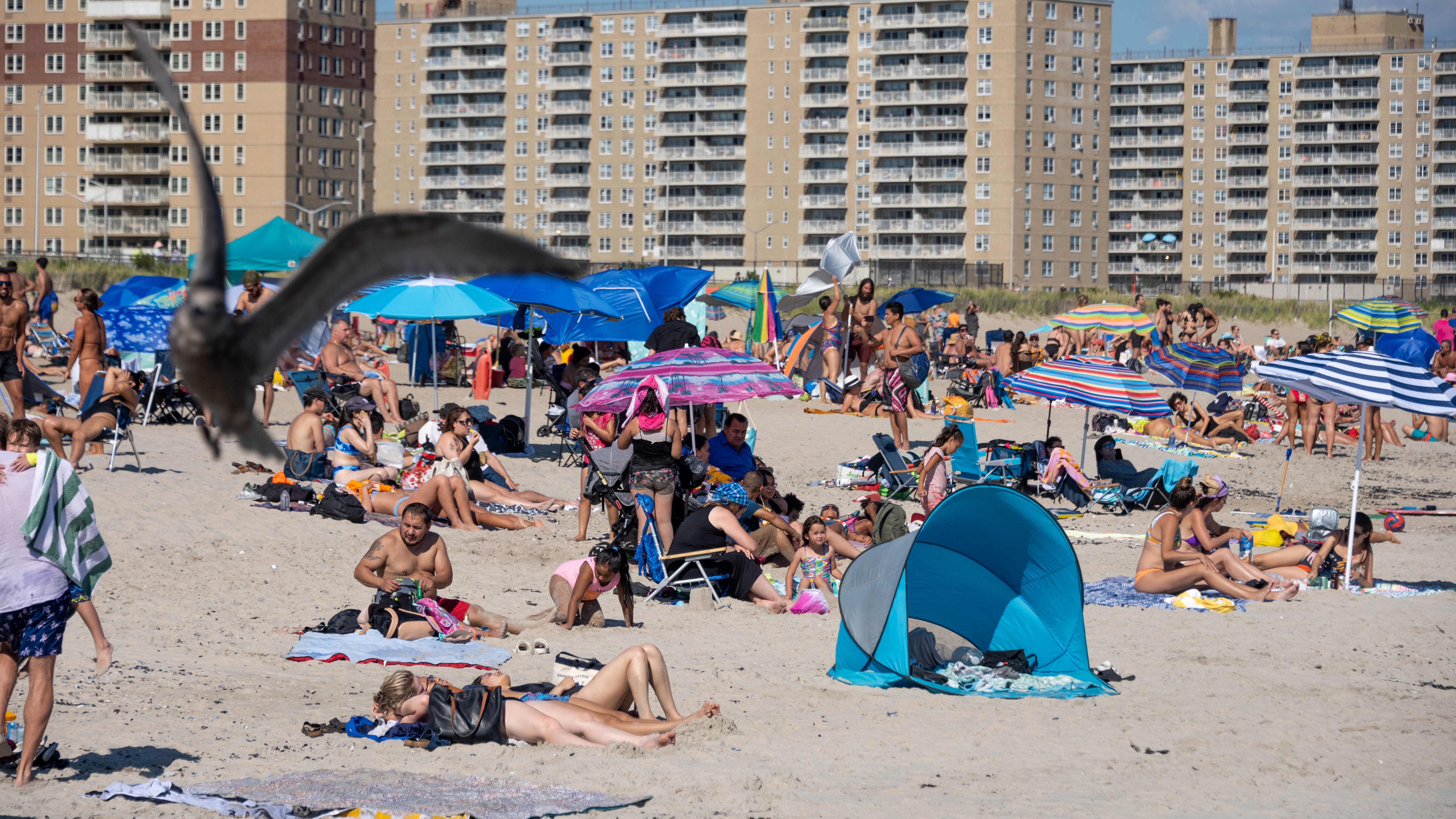 Another shark sighting leads to another Rockaway Beach closing