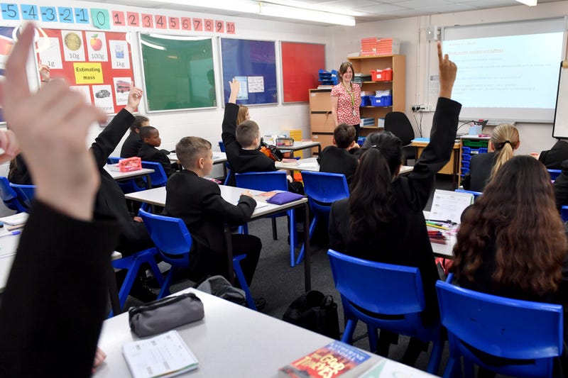 Students raising hands in class