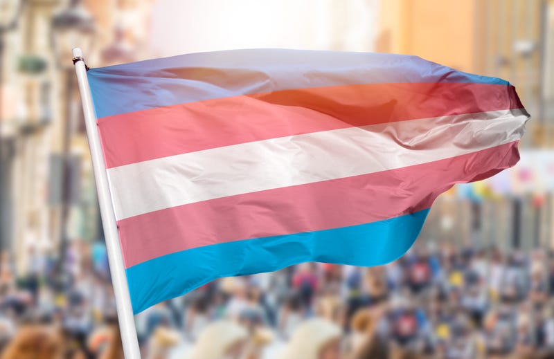Transgender pride flag (blue, pink and white stripes)