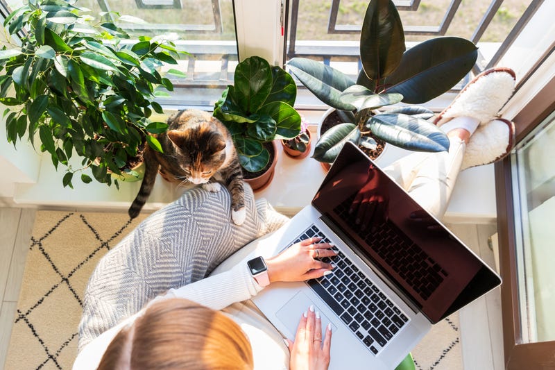 Woman working from home. 