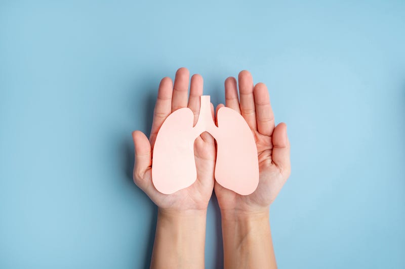 lungs