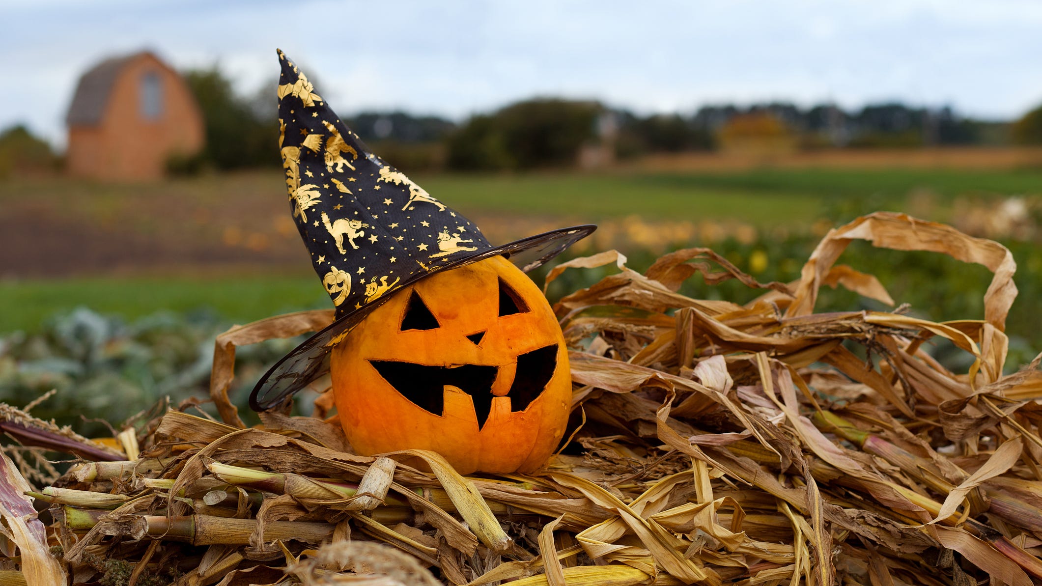 Your guide to Fall Events in and around Philadelphia