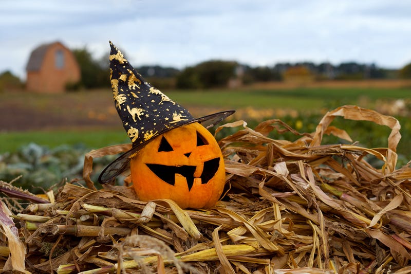 Your guide to Fall Events in and around Philadelphia