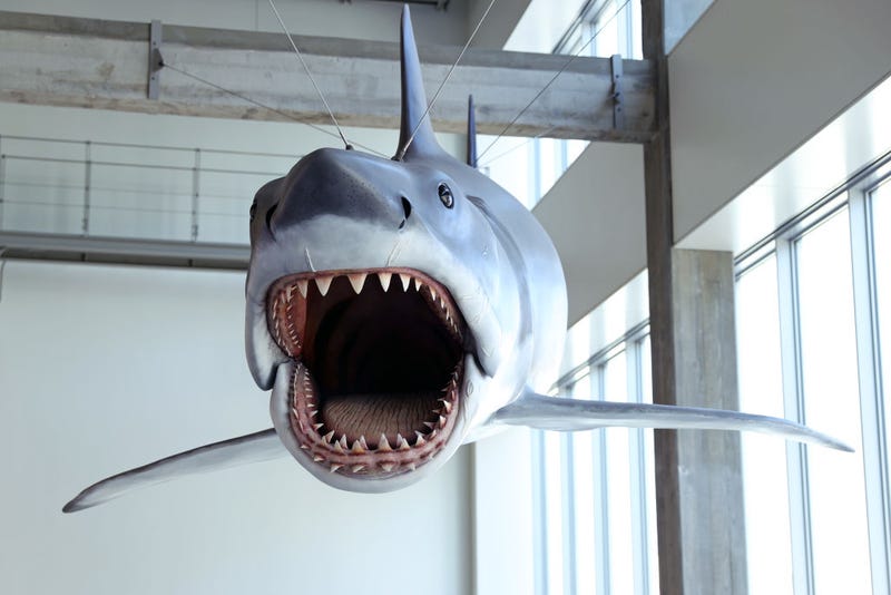 Bruce Jaws