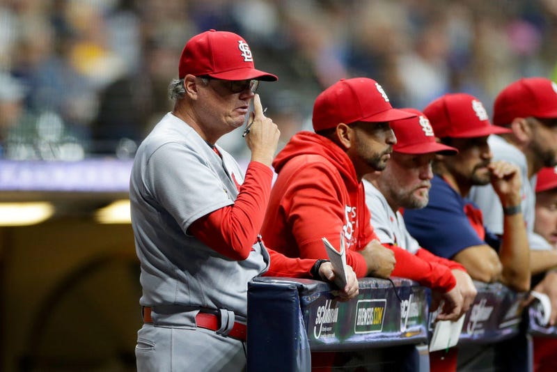 Mike Shildt