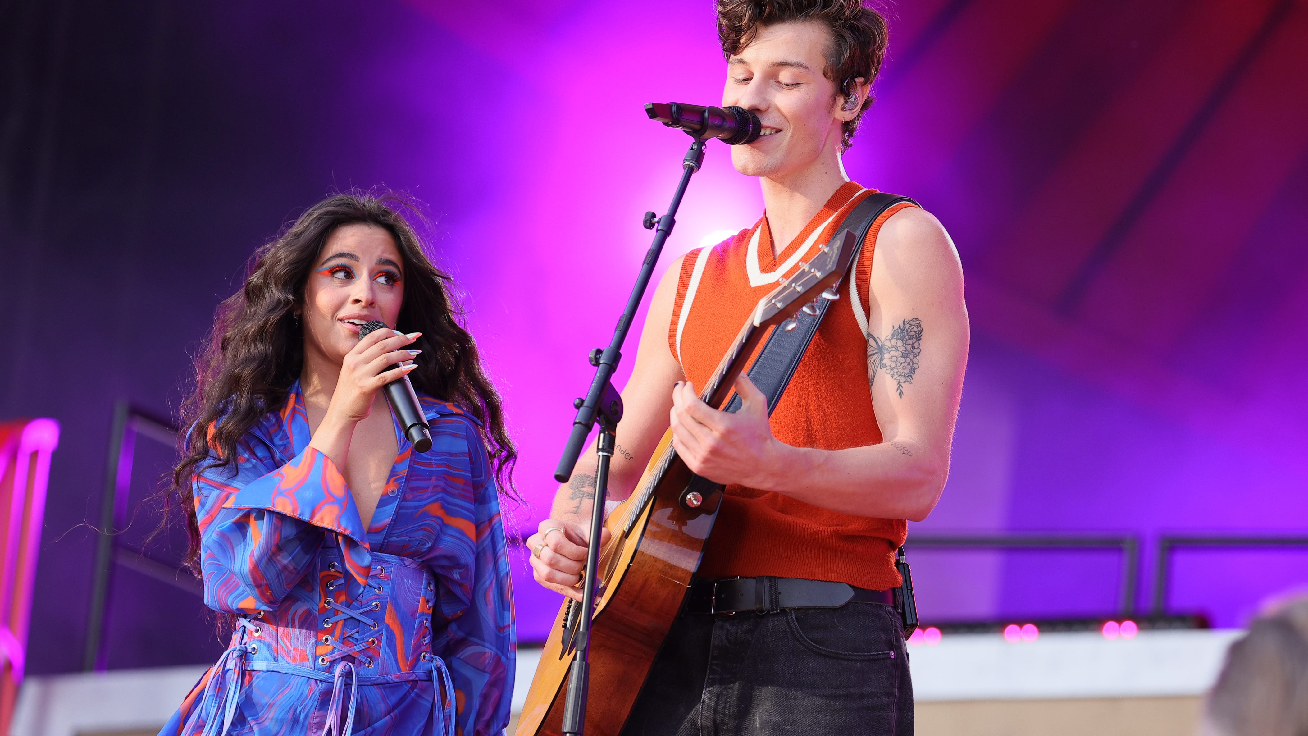 Who gets Tarzan the dog in the Shawn Mendes and Camila Cabello split? We need answers