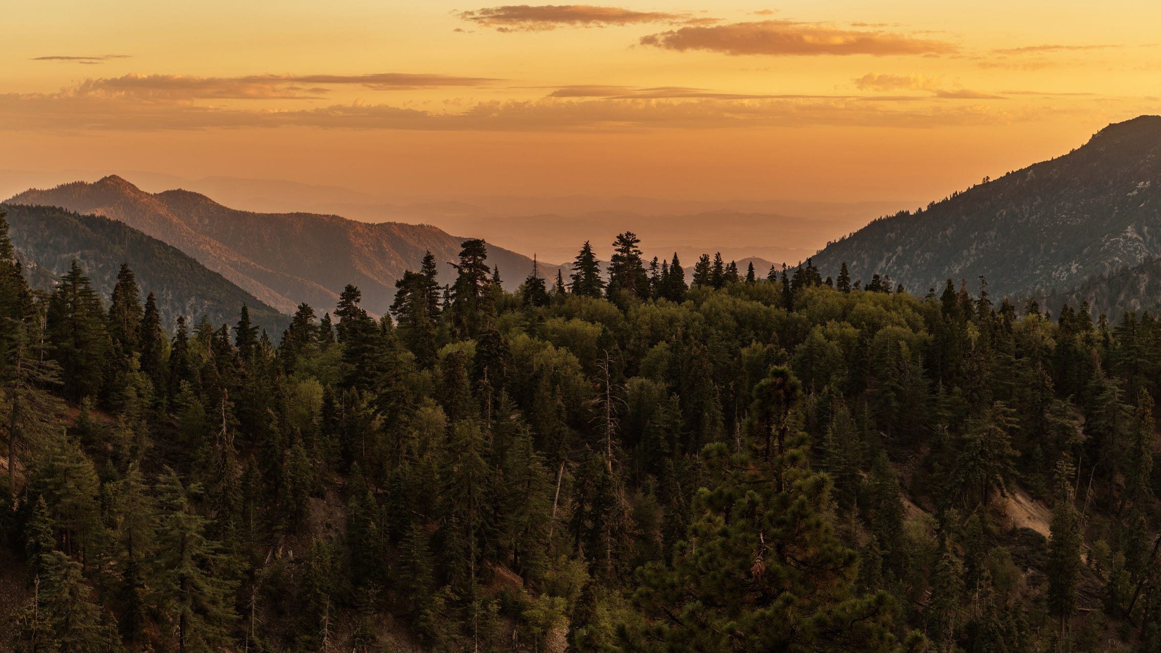 Mom shares final texts after California hiker dies in 80-foot fall: 'Wish me luck'